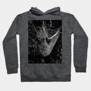 Web in the Dark Hoodie